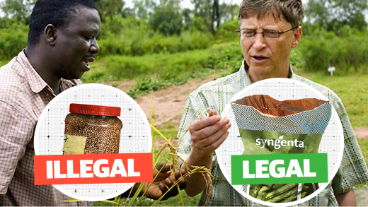 How philanthropists are destroying African farms